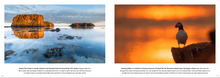 Load image into Gallery viewer, Grímsey: The Arctic Wildlife Wonder