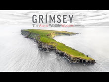 Load and play video in Gallery viewer, Grímsey – The Arctic Wildlife Wonder
