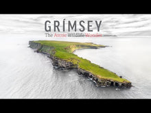 Load and play video in Gallery viewer, Grímsey: The Arctic Wildlife Wonder