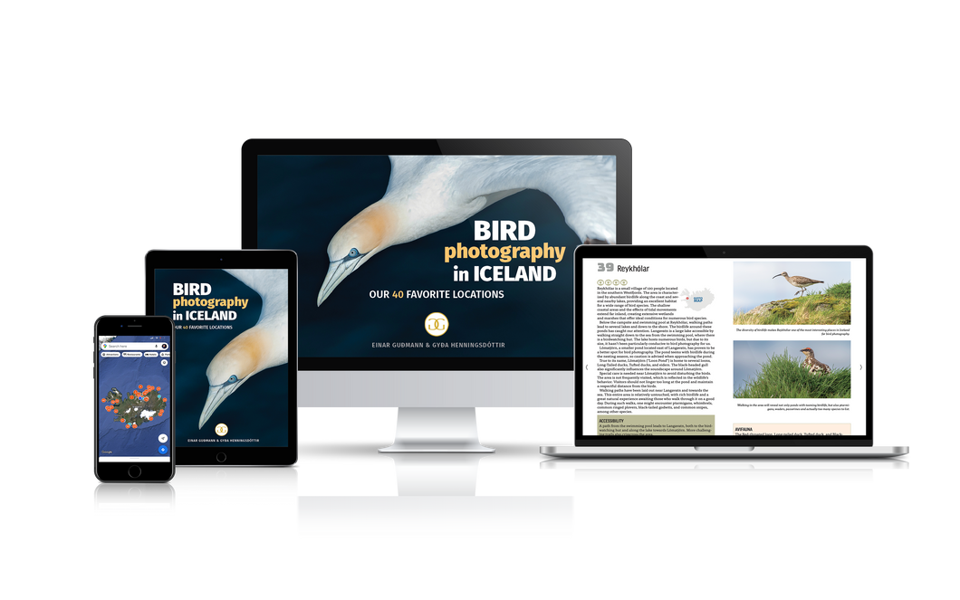 Bird Photography In Iceland - Our 40 Favorite Locations (eBook/ePUB)