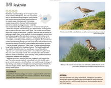 Load image into Gallery viewer, Bird Photography In Iceland - Our 40 Favorite Locations (eBook/ePUB)
