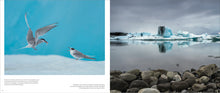 Load image into Gallery viewer, Iceland – Wild at heart (Large version)
